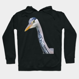 Grey Heron What Are You Looking At? Hoodie